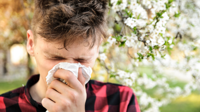 Boy with pollen allergy over yellow flowers is sneezing in the park